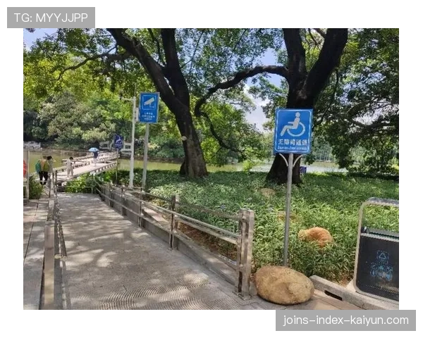 球场无障碍观赛席位预约系统的用户体验优化，无障碍赛道